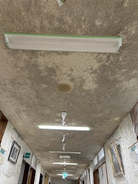 特殊カビ処理 施工前 総合病院通路