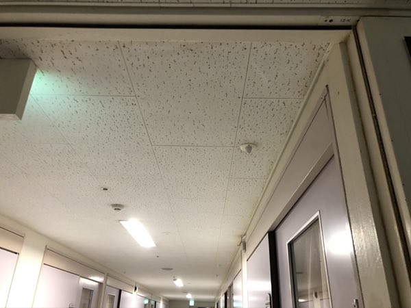 特殊カビ処理 施工後 病院通路