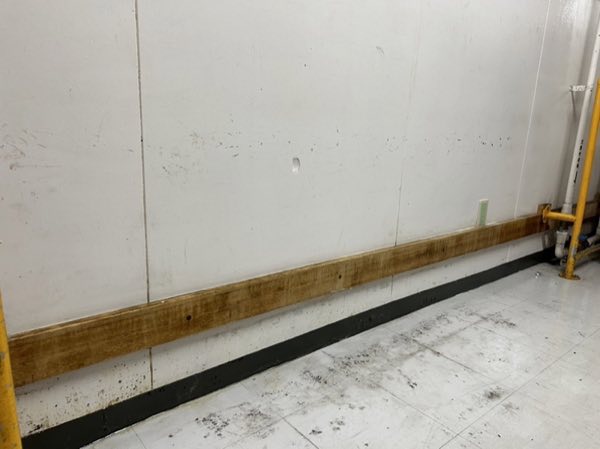 特殊カビ処理 施工後 商業施設バックヤード
