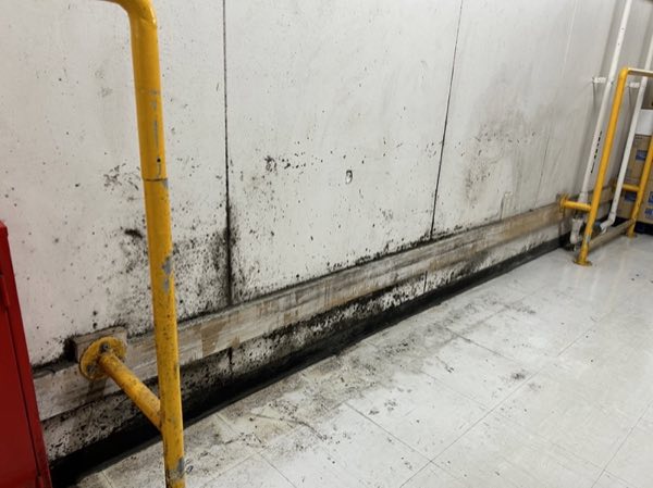 特殊カビ処理 施工前 商業施設バックヤード