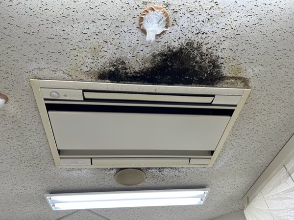 特殊カビ処理 施工前 総合病院休憩室